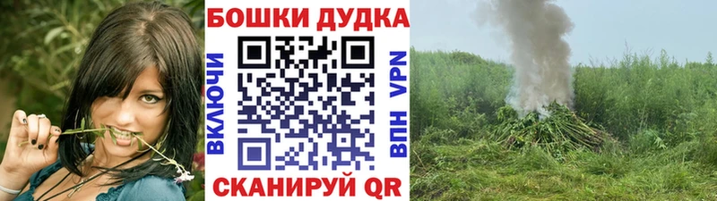 где можно купить   Менделеевск  Конопля семена 